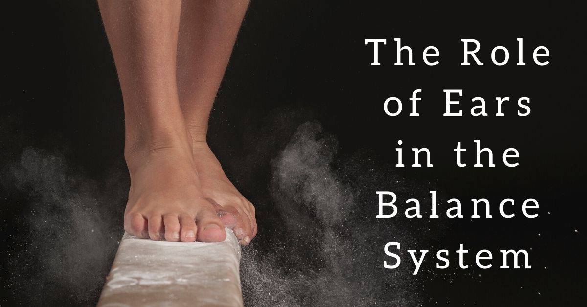 The Role of Ears in the Balance System