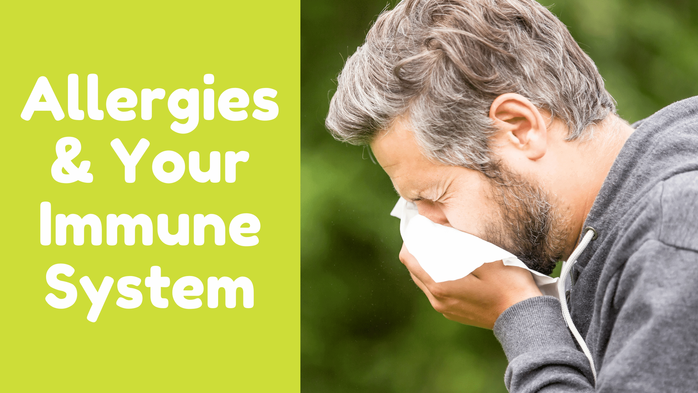 Allergies And Your Immune System Enticare Ear Nose And Throat Doctors