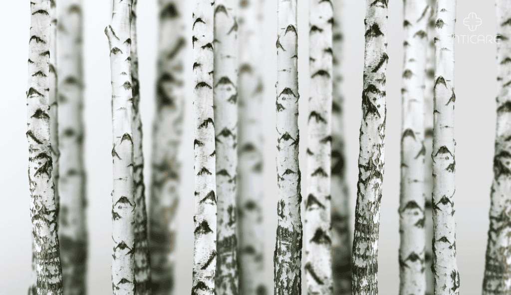 enticare-birch