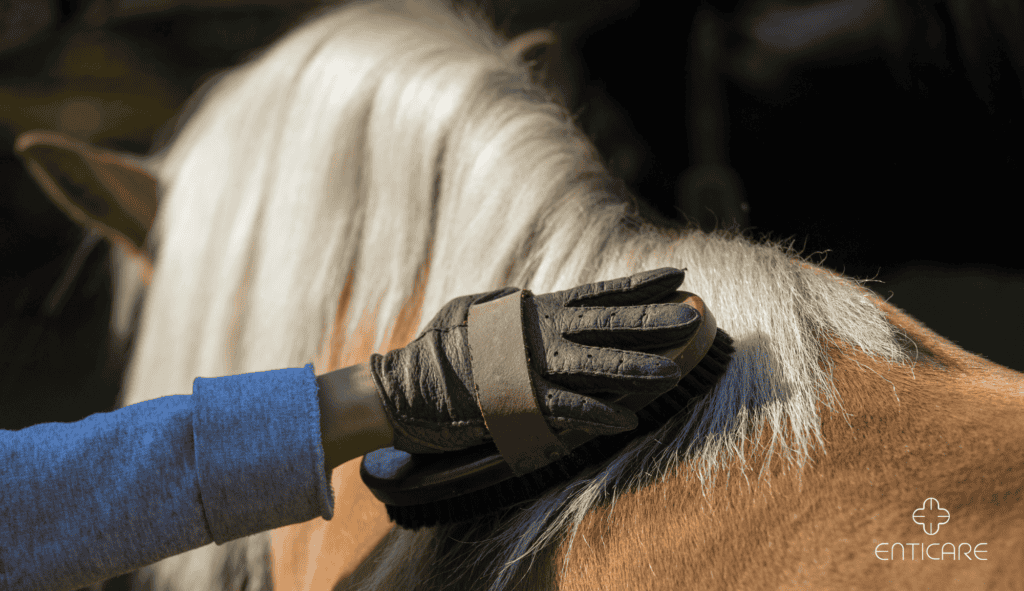 enticare-grooming-horse