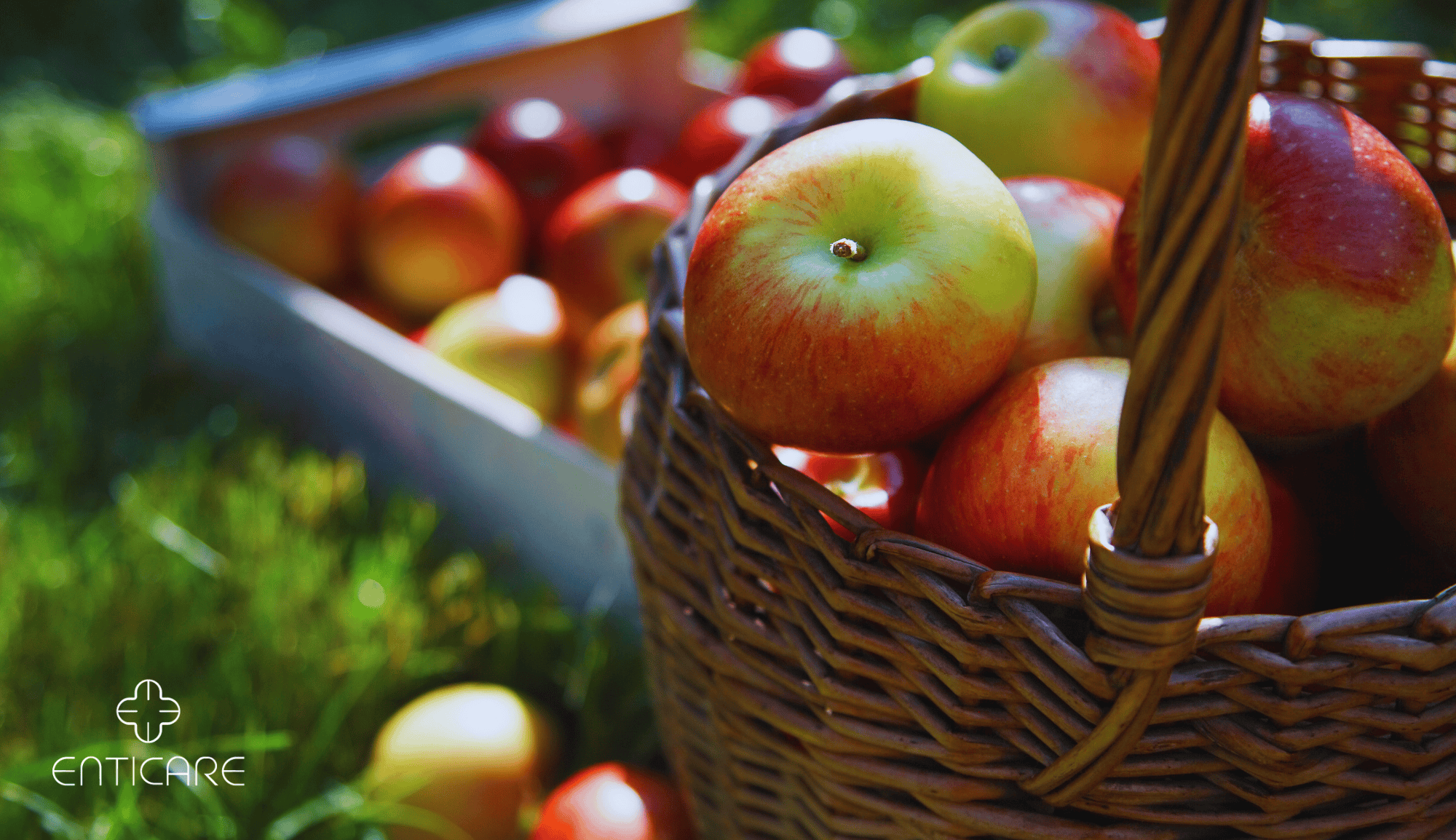 Apple Allergy 101: Everything You Need to Know | Enticare Ear, Nose ...