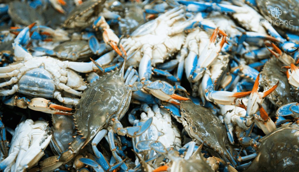 enticare-blue-crabs