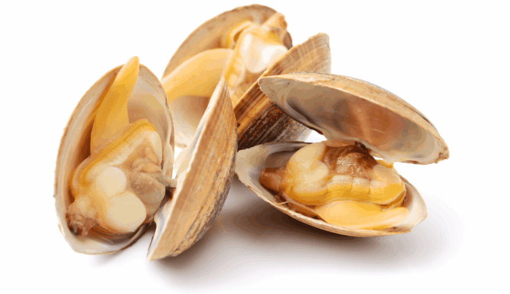 enticare-clams