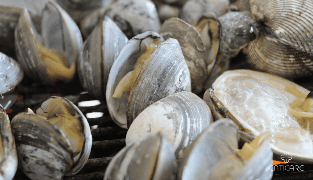 enticare-grilled-clams