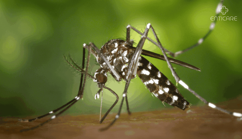 enticare-mosquito-closeu