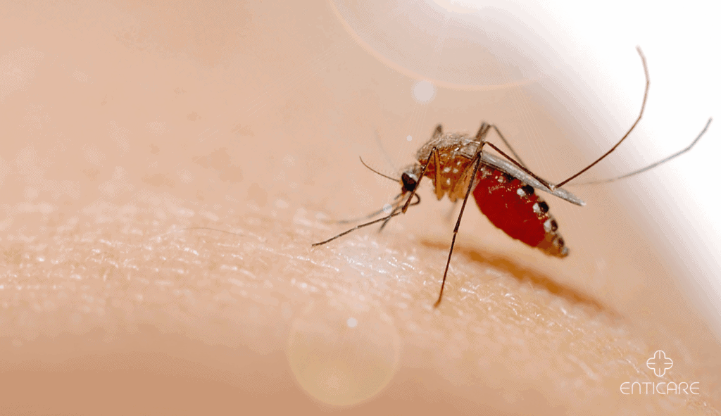 enticare-mosquitoes