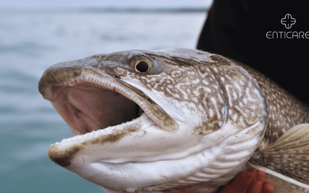 Lake Trout Allergy: A Deep Dive into Symptoms, Diagnosis, and Treatment Options