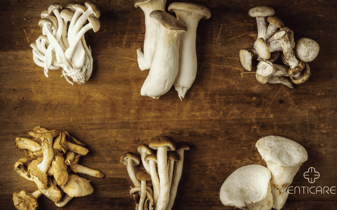 Mushroom Allergy: Uncovering Its Origins, Symptoms, and How to Manage It