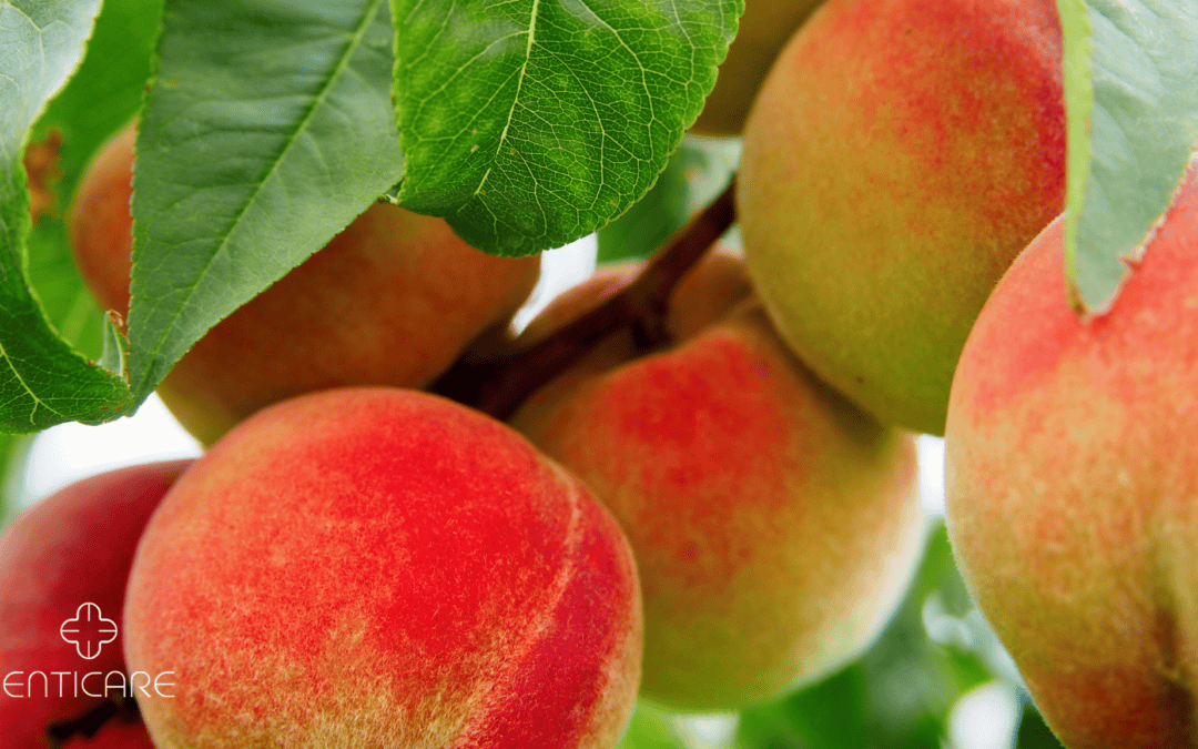 Peach Allergy Explained: Symptoms, Risk Foods, and How to Treat It