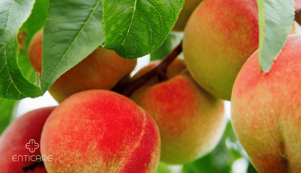 Peach Allergy Explained: Symptoms, Risk Foods, and How to Treat It ...