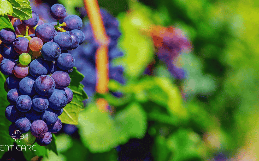 Unmasking Grape Allergy: Symptoms, Causes, and Treatment