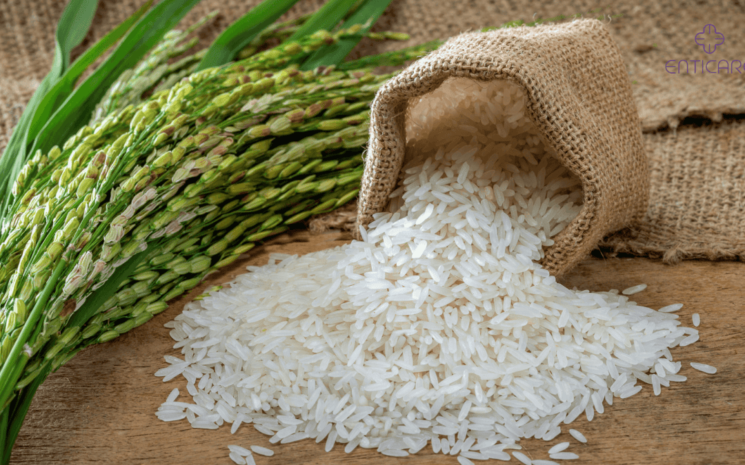 Rice Allergy Explained: Symptoms & How to Protect Yourself