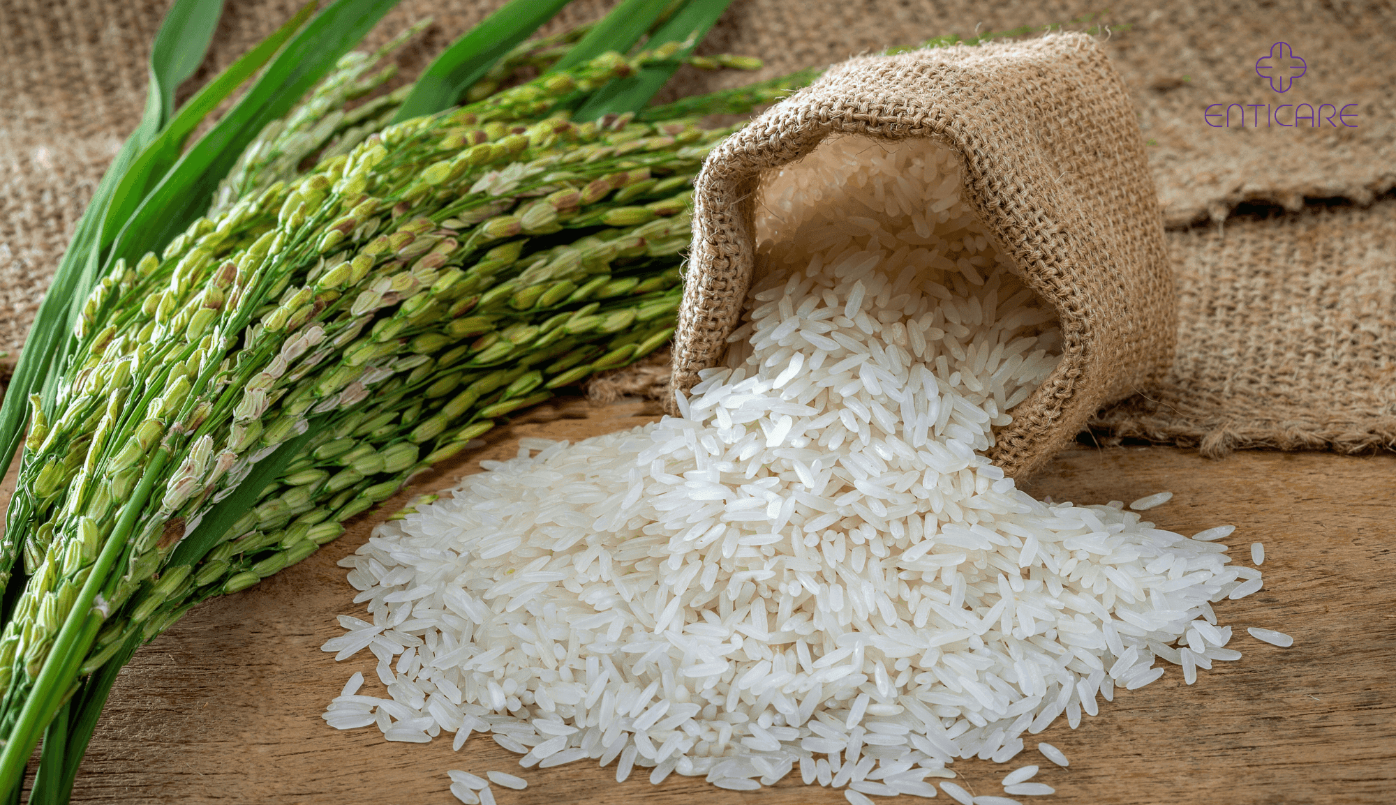 Pollenless Rice Rice Allergy Explained: Symptoms & How to Protect Yourself