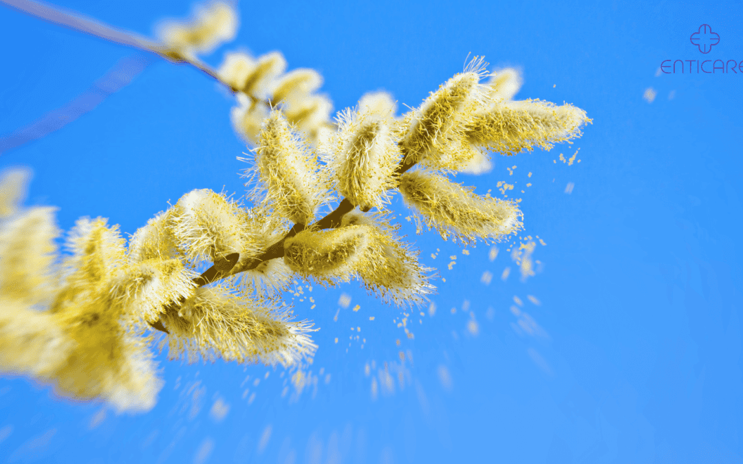 When Will Pollen Season End? Timeline & Tips for Allergy Relief