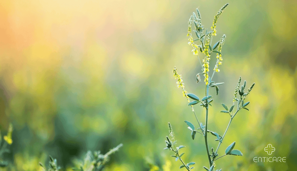 enticare-pollen-flowers