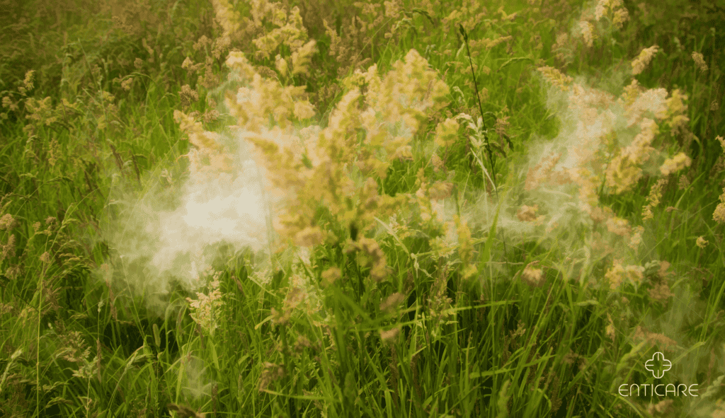 enticare-pollen-from-grass