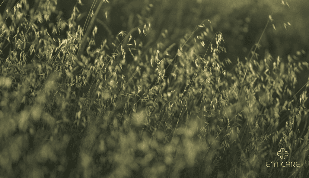 enticare-grass-zoom