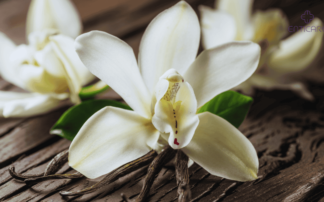 Vanilla Allergy: Symptoms, Causes, & Effective Treatments