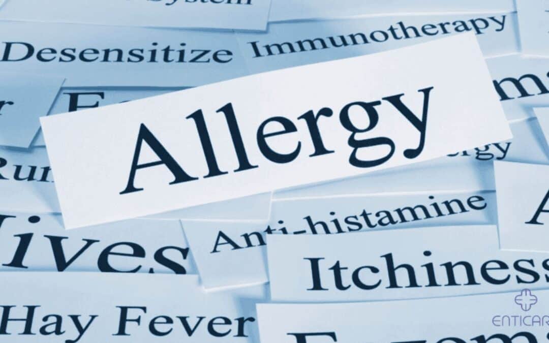 How Do Allergies Work? Understanding Your Immune Response