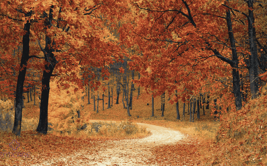 enticare-autumn-trees-min