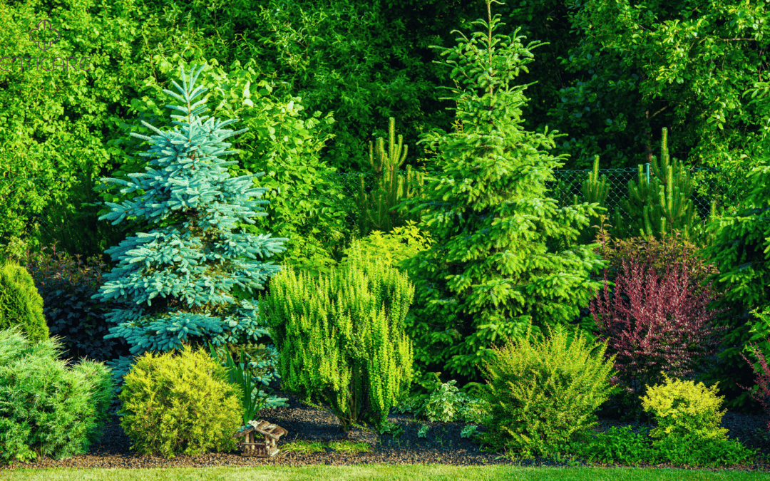 Common Plants and Trees That Trigger Allergies