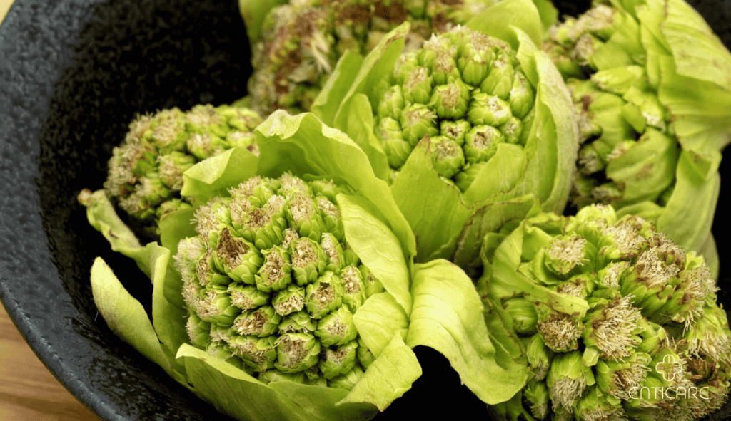enticare-butterbur