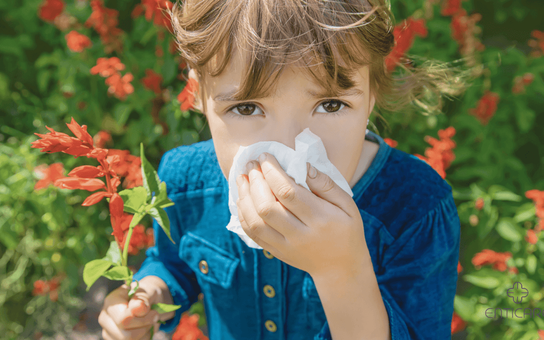 Why Do I Have Year-Round Allergies?