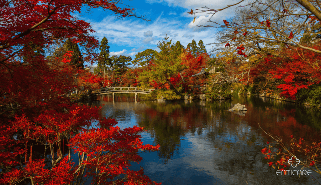 enticare-japanese-fall