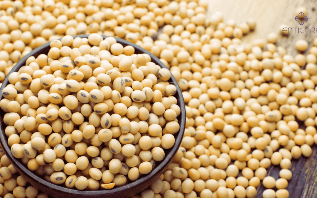 Essential Guide to Managing Soybean Allergy Symptoms