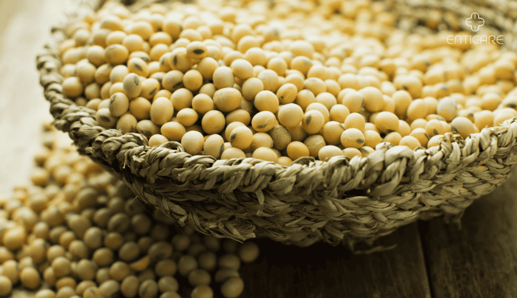 enticare-soybean-in-basket