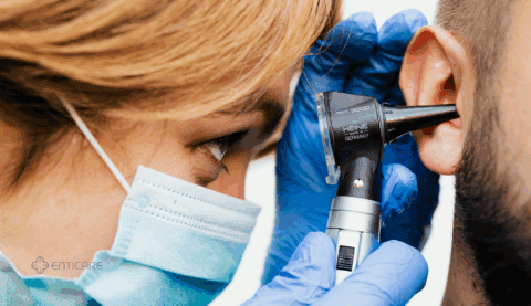 Insect Inside Ear Symptoms: What You Need to Know
