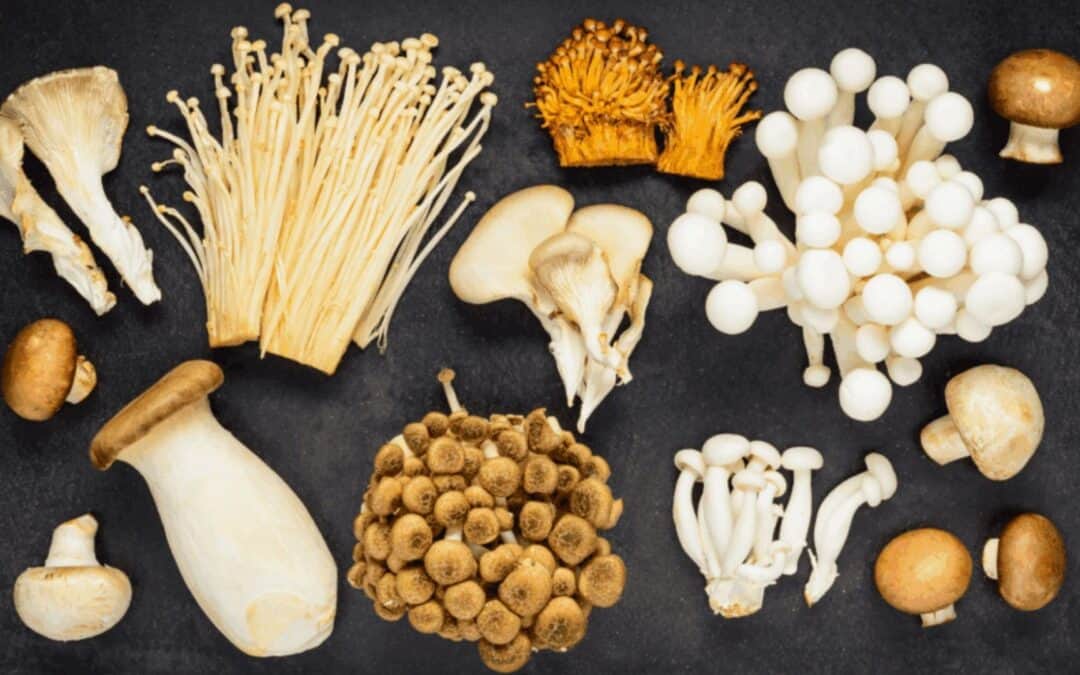 Mushrooms