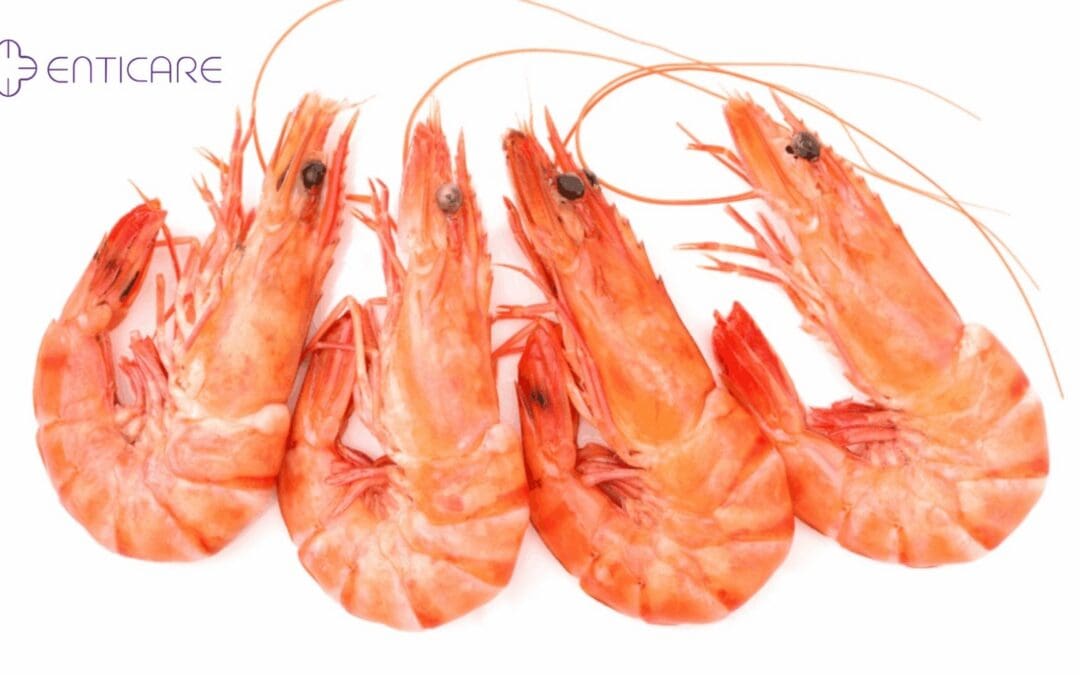 shrimp allergy