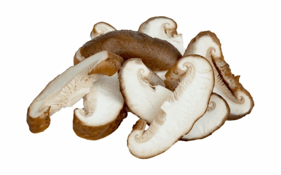 Are Mushrooms High in Histamine? A Comprehensive Guide to Their Levels