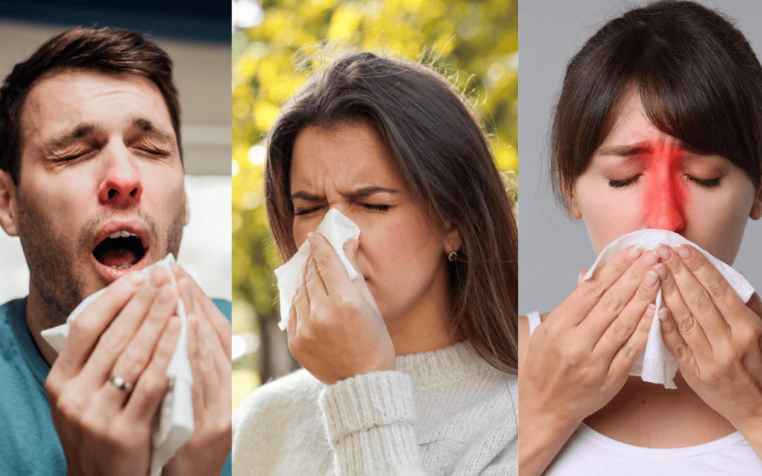 Environmental Allergy: Top 5 Reasons You Should Get a Test Today